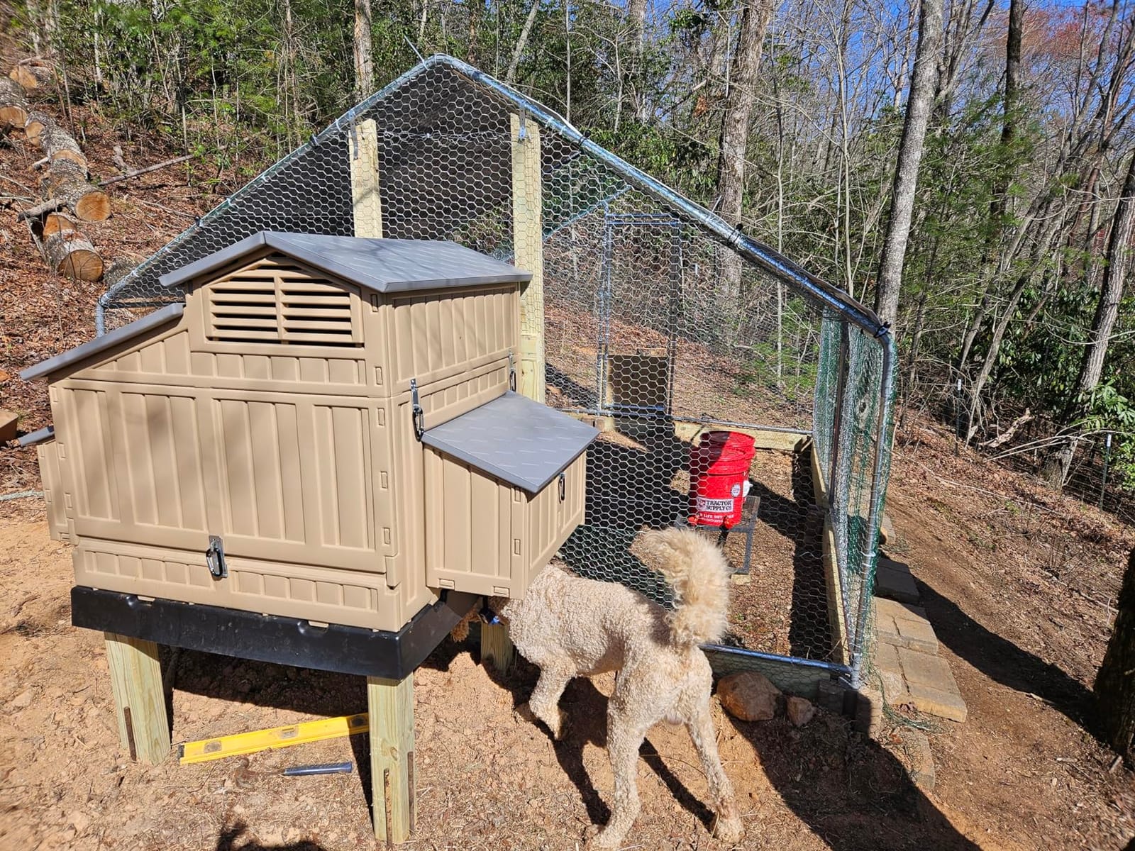 NUGRIART Large Metal Chicken Coop Walk-in Poultry Cage with Water-Resident and Anti-UV Cover Duck Rabbit Cat House Outdoor Chicken Run Pen with Spire Shaped Cage customer photo 2
