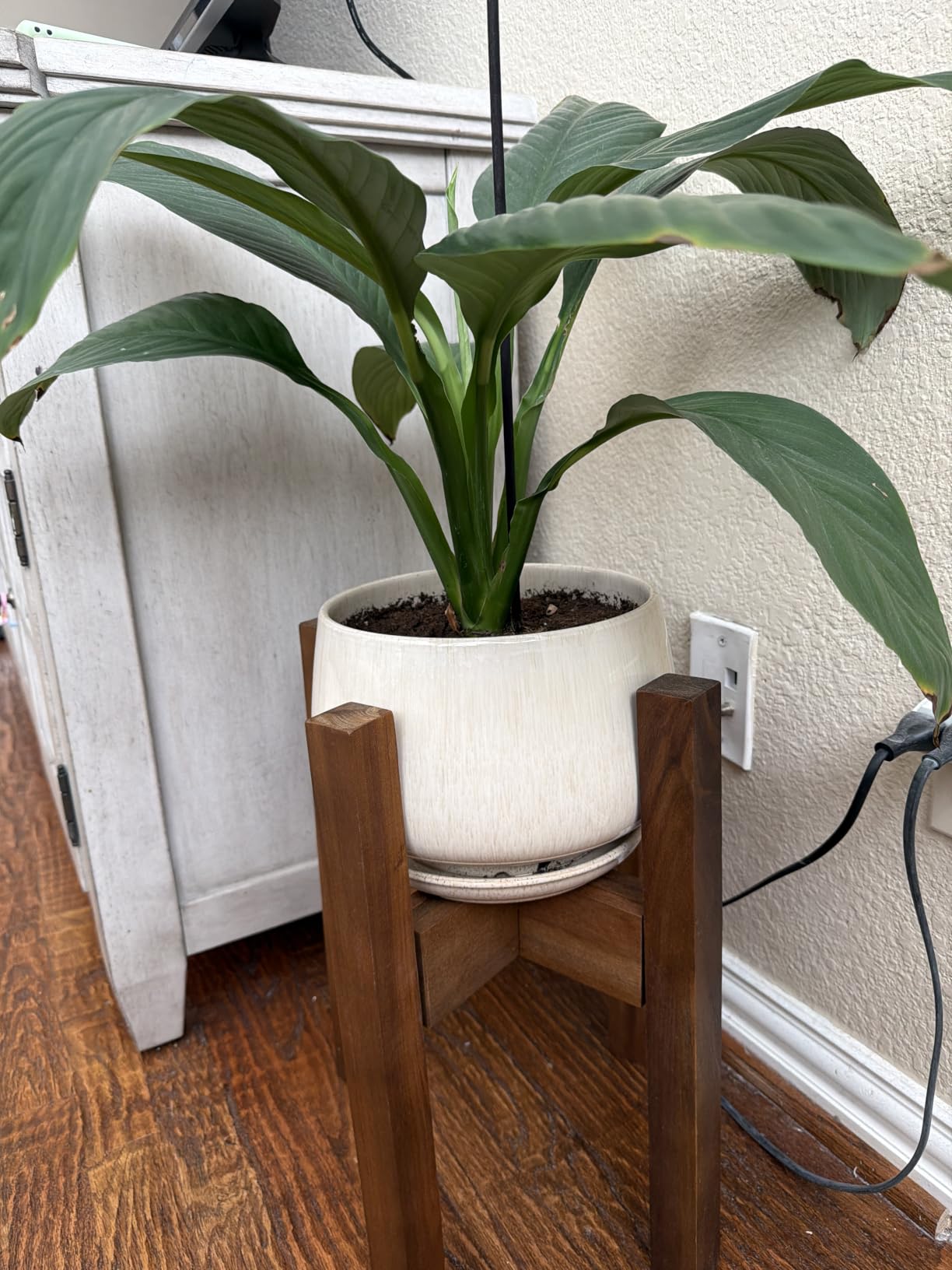 LE TAUCI Ceramic Planter, 10 Inch Plant Pot with Drainage Hole & Saucer, Durable Indoor Planter for Modern Home Decor, Reactive Glaze Beige customer photo 1
