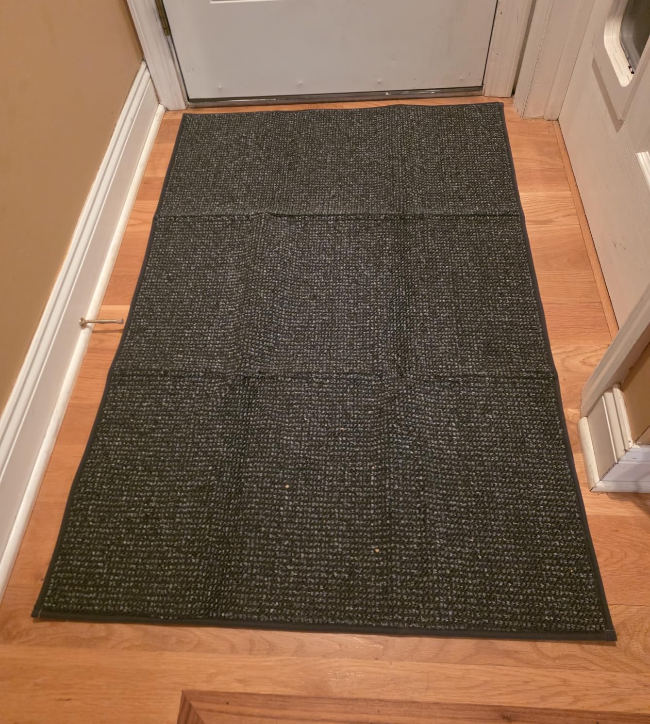 BEQHAUSE Dirt Trapper Door Mat 20