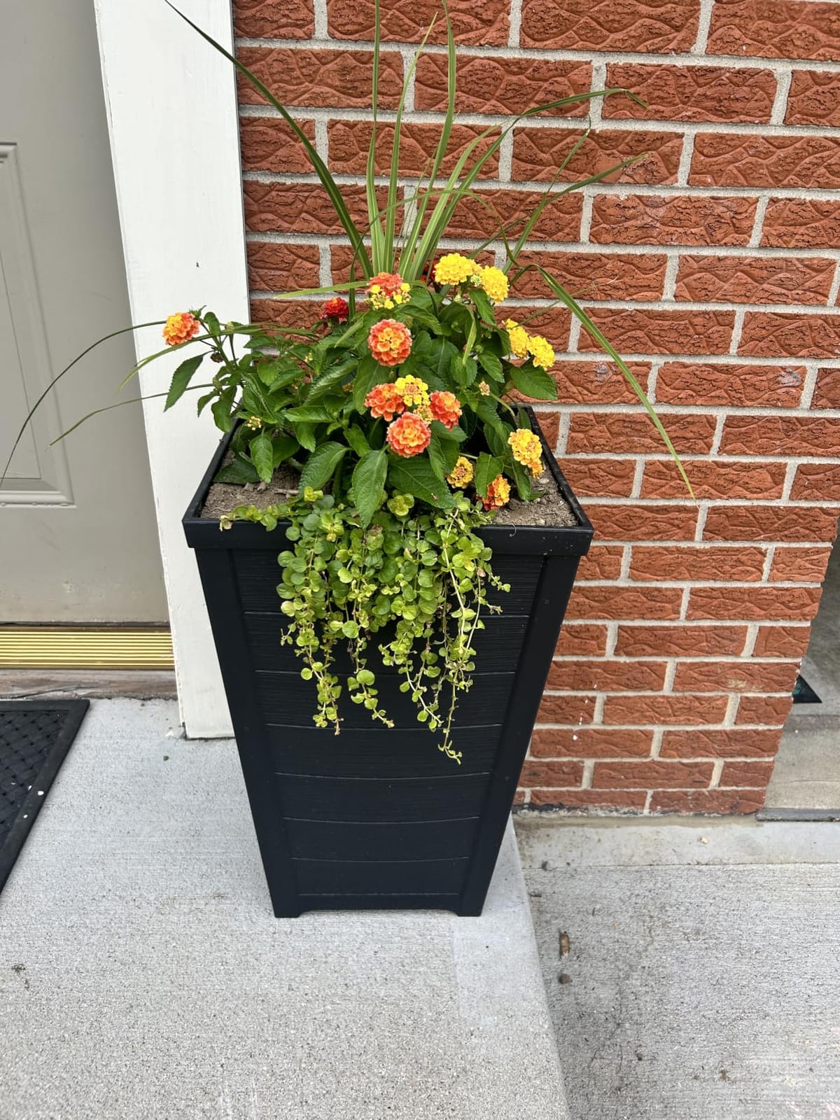 Keter Set of 2 Resin Modern Outdoor 22 Inch Tall Large Flower Pots, Tapered Wood Look Planters customer photo 1
