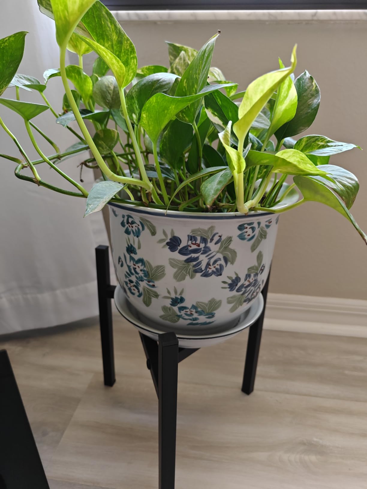Airpark Plant Stand Indoor Adjustable, Metal Modern Plant Stands, Heavy Duty Stable Plant Pot Flower Holder Indoor Outdoor Corner, Fit 8 9 10 11 12 inch Pots, Black customer photo 2