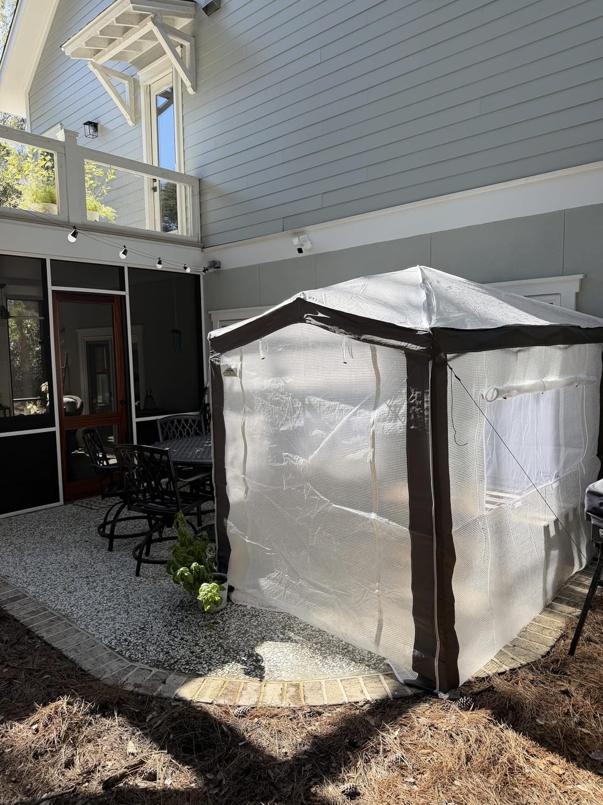 EAGLE PEAK 8x6 Walk in Pop Up Greenhouse, Gray/White | Reinforced Corners, Pop Up Greenhouse for Winter, One Person Easy Setup PeakPush™ Center Lock, Zippered Doors & Mesh Windows customer photo 2