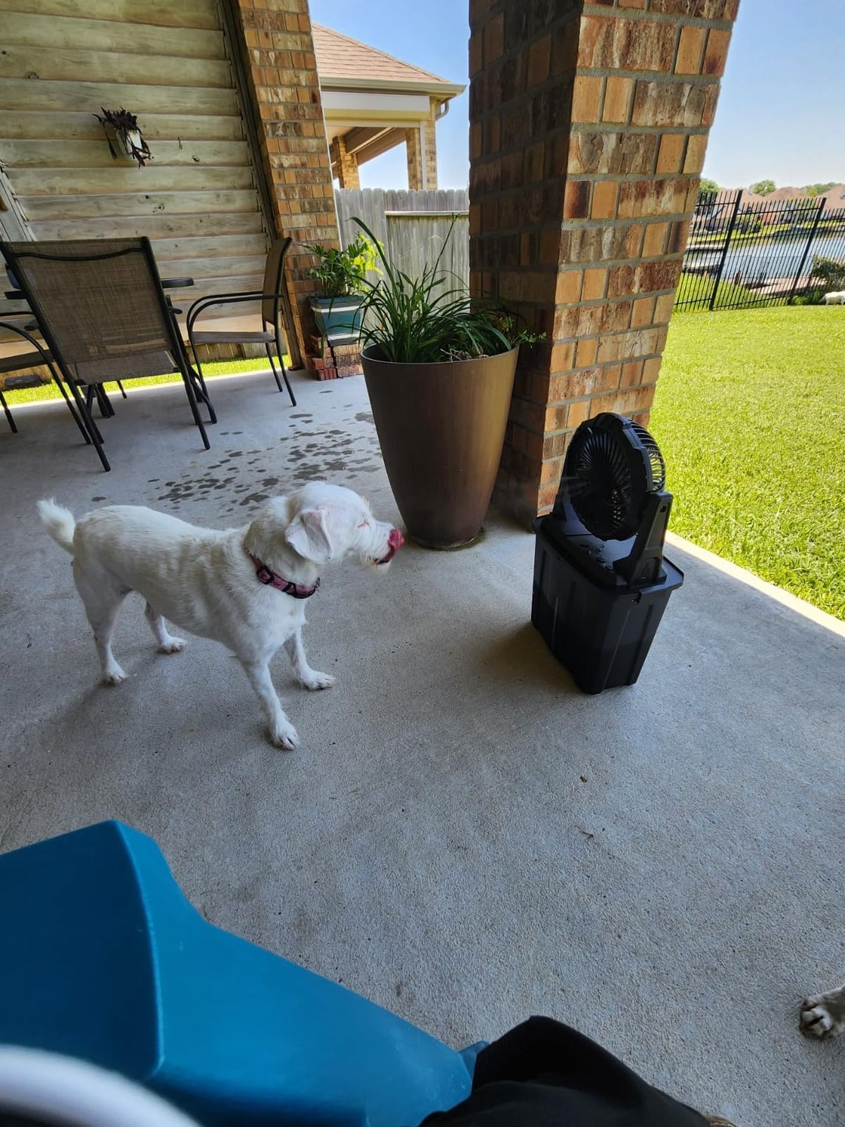 Ausic Portable Misting Fan, 9L 10-inch Outdoor Mist Fans for Outside Patios Cooling, 20000mAh Rechargeable Battery Fan with Water Box, 3 Strong Winds, 3 Spray Mister, Camping/Beach Summer Essentials customer photo 1