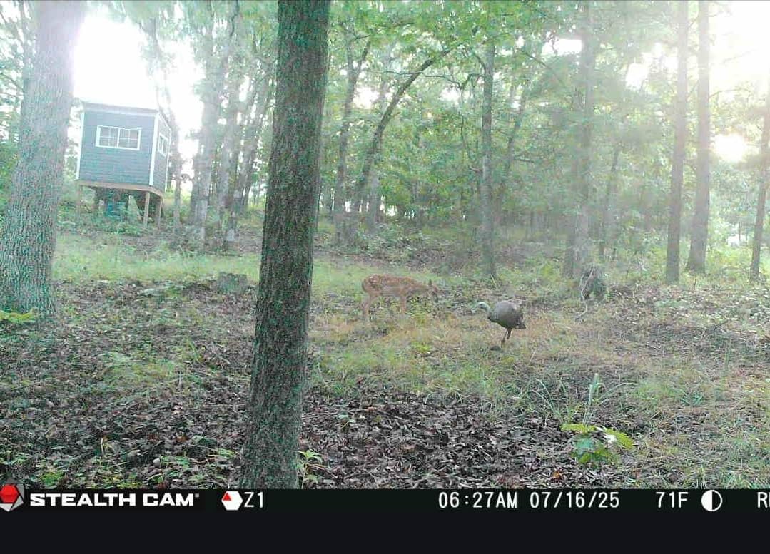 Stealth Cam Revolver PRO 40MP 1440P 30 FPS QHD 0.4 Cellular Trail Camera | 40MP Photos, 1440p at 30fps Video, Under 0.4 Second Trigger, 360 Degree Panoramic, Built-in GPS, 100 Ft Detection customer photo 2