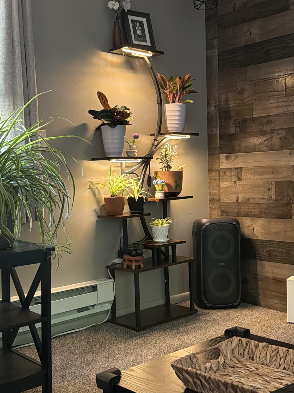 BACEKOLL Plant Stand Indoor with Grow Light, 8 Tier Corner Plant Shelf Tall, 62