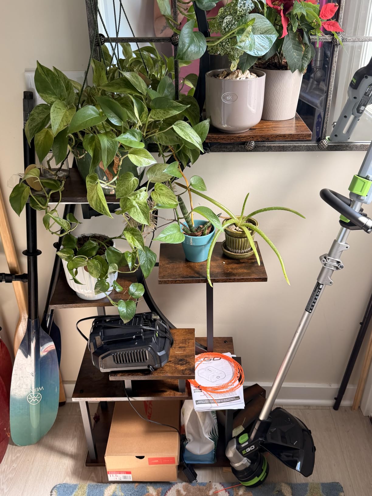 BACEKOLL Plant Stand Indoor with Grow Light, 8 Tier Corner Plant Shelf Tall, 62