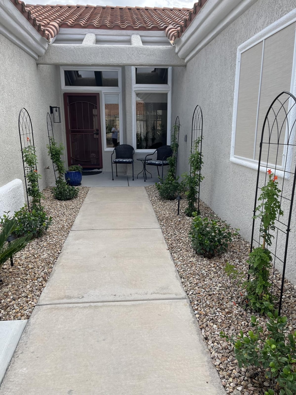 2 Pack 71x20in Rustic Iron Arch Decoration Garden Trellis with Black Metal Coating - Perfect for Supporting Climbing Plants Outdoor, Roses, Vines, Flowers, and Vegetables. customer photo 1