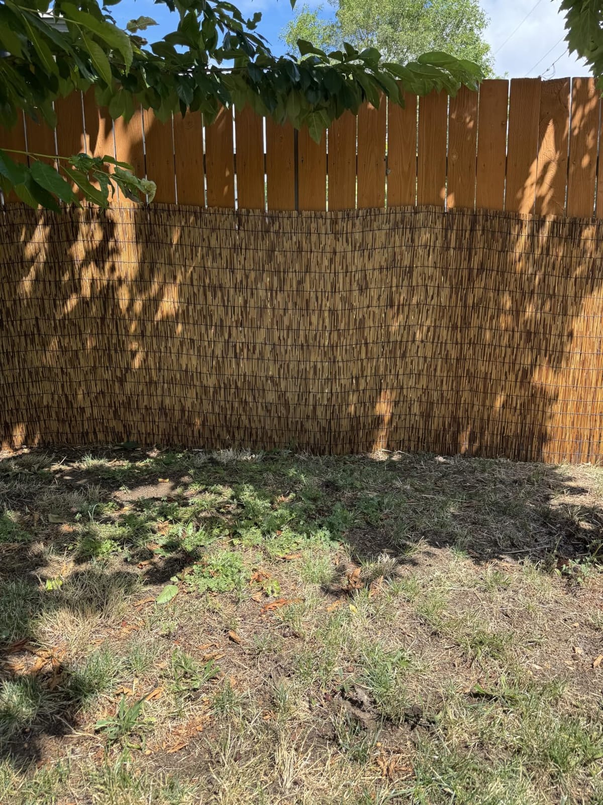 ZNCMRR Reed Fencing Rolls Natural Bamboo Fence 6 Feet High Privacy Screen Curtains Fence for Balcony Patio Garden Backyard Shades Outdoor 6FT X 16.4FT (Brown) customer photo 2