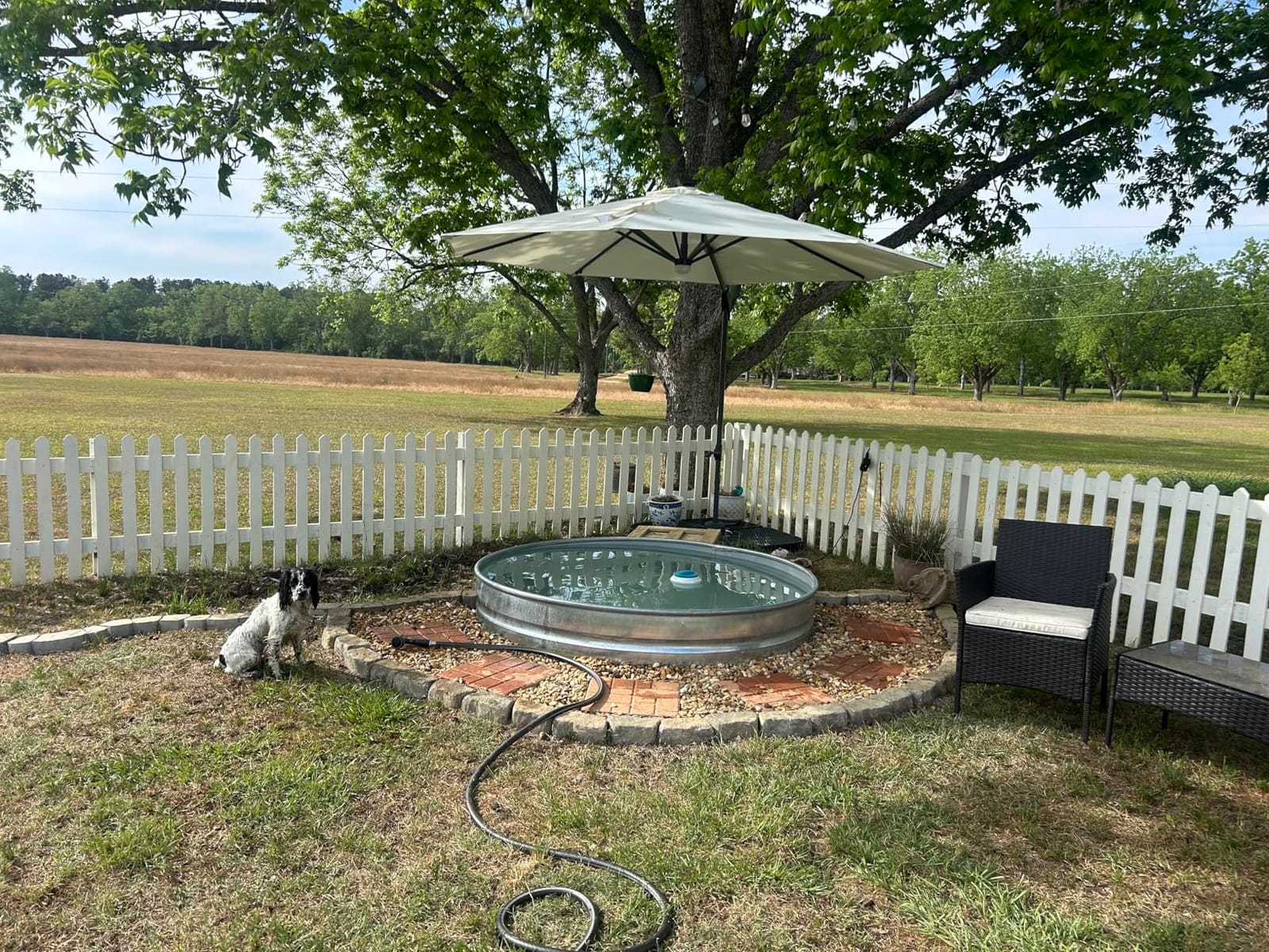 Best Choice Products 10ft Solar LED Cantilever Patio Umbrella, 360-Degree Rotation Hanging Offset Market Outdoor Sun Shade for Backyard, Deck, Poolside w/Lights, Easy Tilt, Cross Base - Seaglass customer photo 2