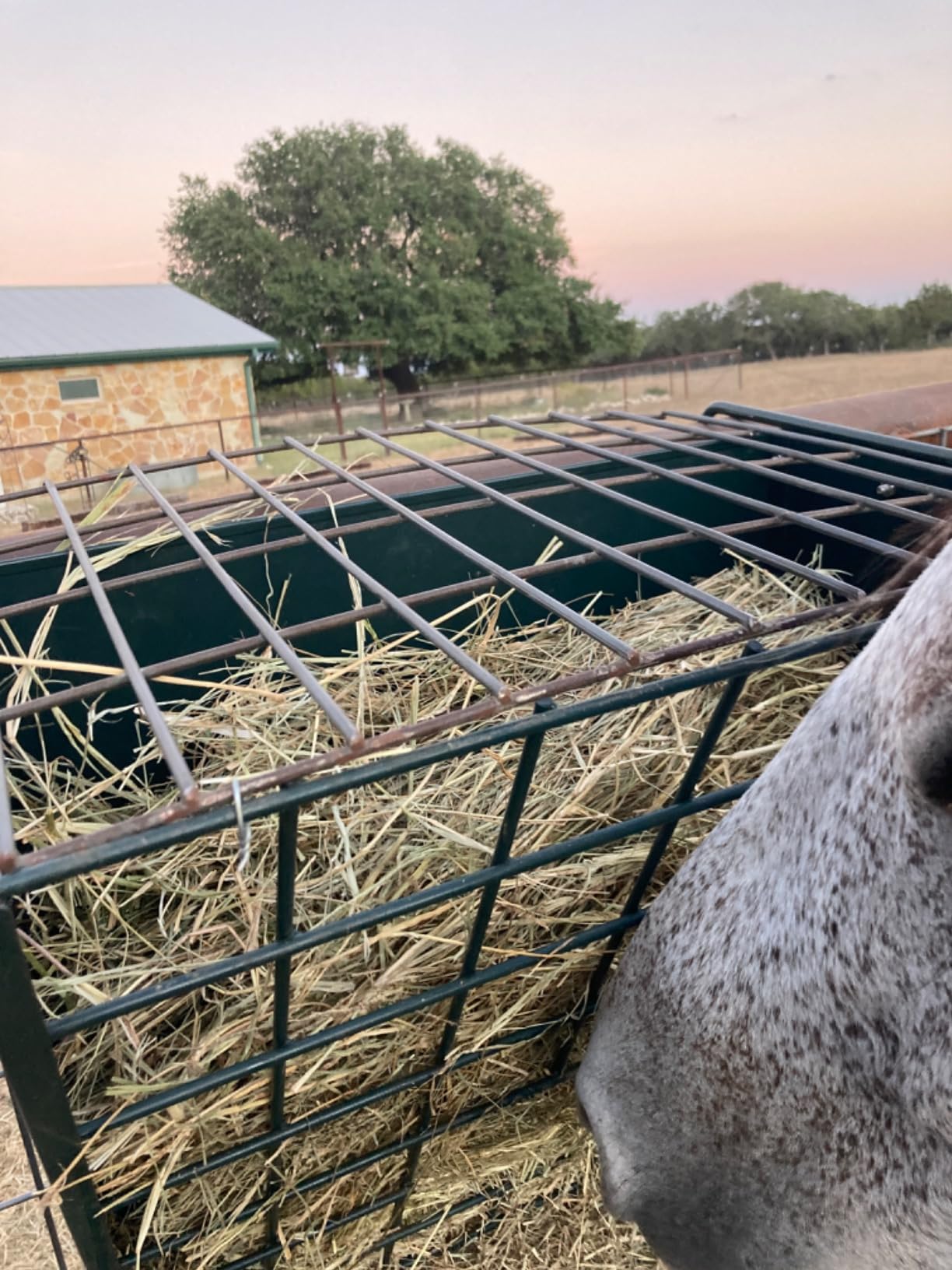 Wall Mount Hay Rack, Heavy-Duty Galvanized Metal 2 in 1 Hay and Grain Feeder, Livestock Feeder with Adjustable Distance, Hay Feeder for Goats, Sheep, Horse customer photo 2