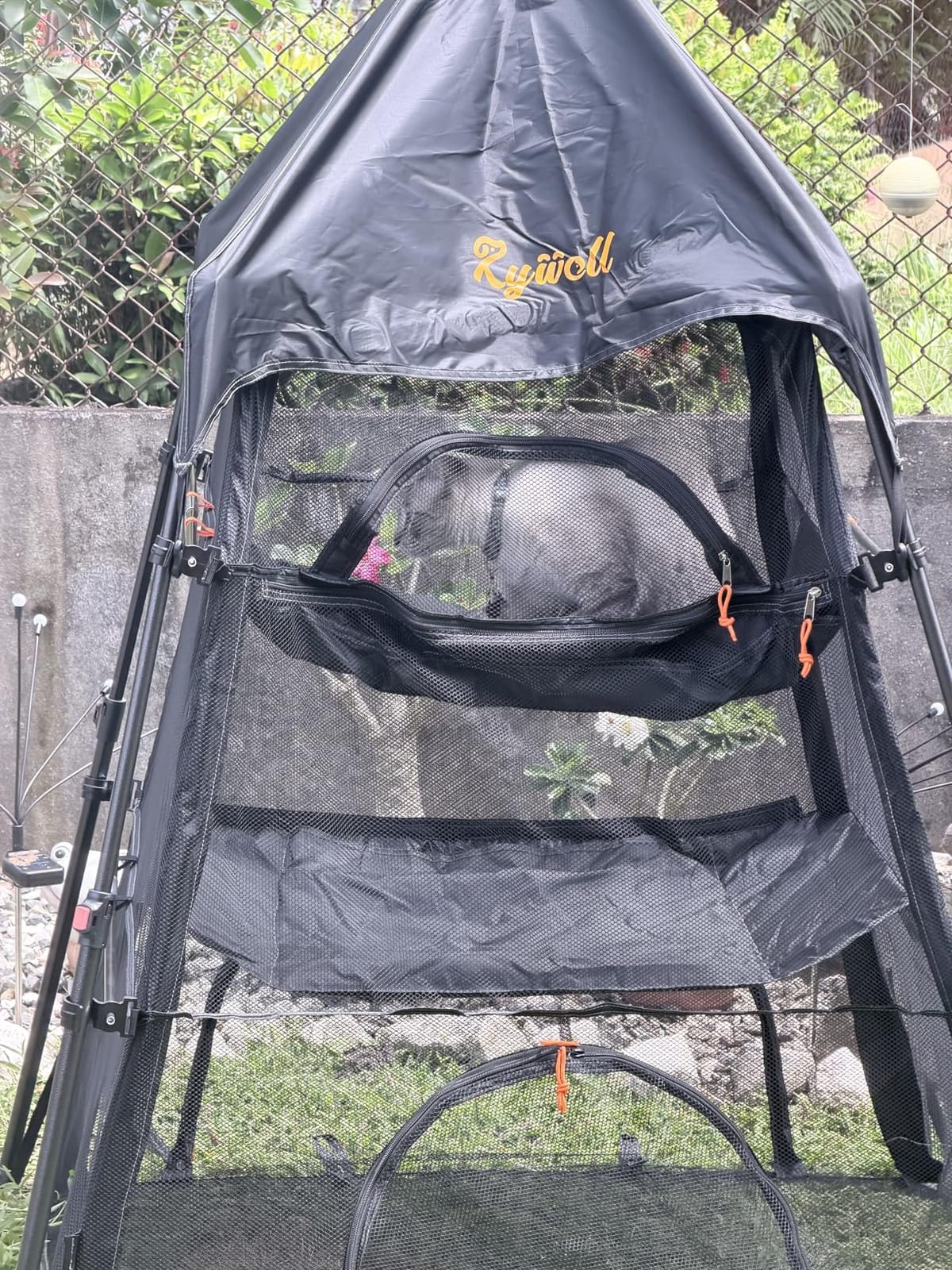 Extra Large Catio Outdoor Cat Enclosure, Rywell 3-Tier Spacious Outdoor Cat Tent, Weatherproof&Sunproof with 5 Windows, Foldable Cat Enclosure for Patio, Camping, Indoor(Includes Carry Bag) customer photo 2