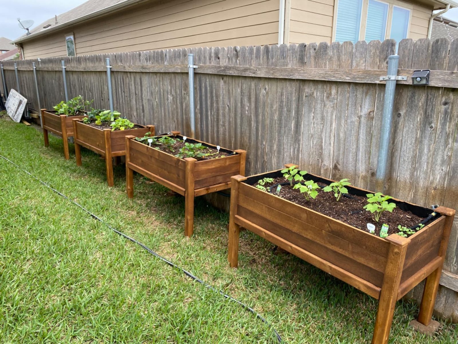 Greenes Fence Original Cedar Elevated Garden Bed, 24