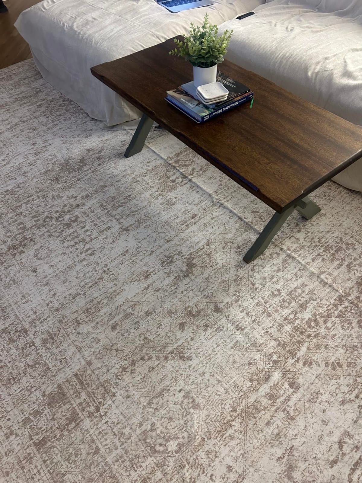 Soalmost Washable Area Rug 8x10 Large Soft Beige Rugs for Living Room | Vintage Non-Slip Carpet for Dining Bedroom, Stain Resistant Low Pile Foldable Lightweight Floor Mat Under Table Home Decor customer photo 2