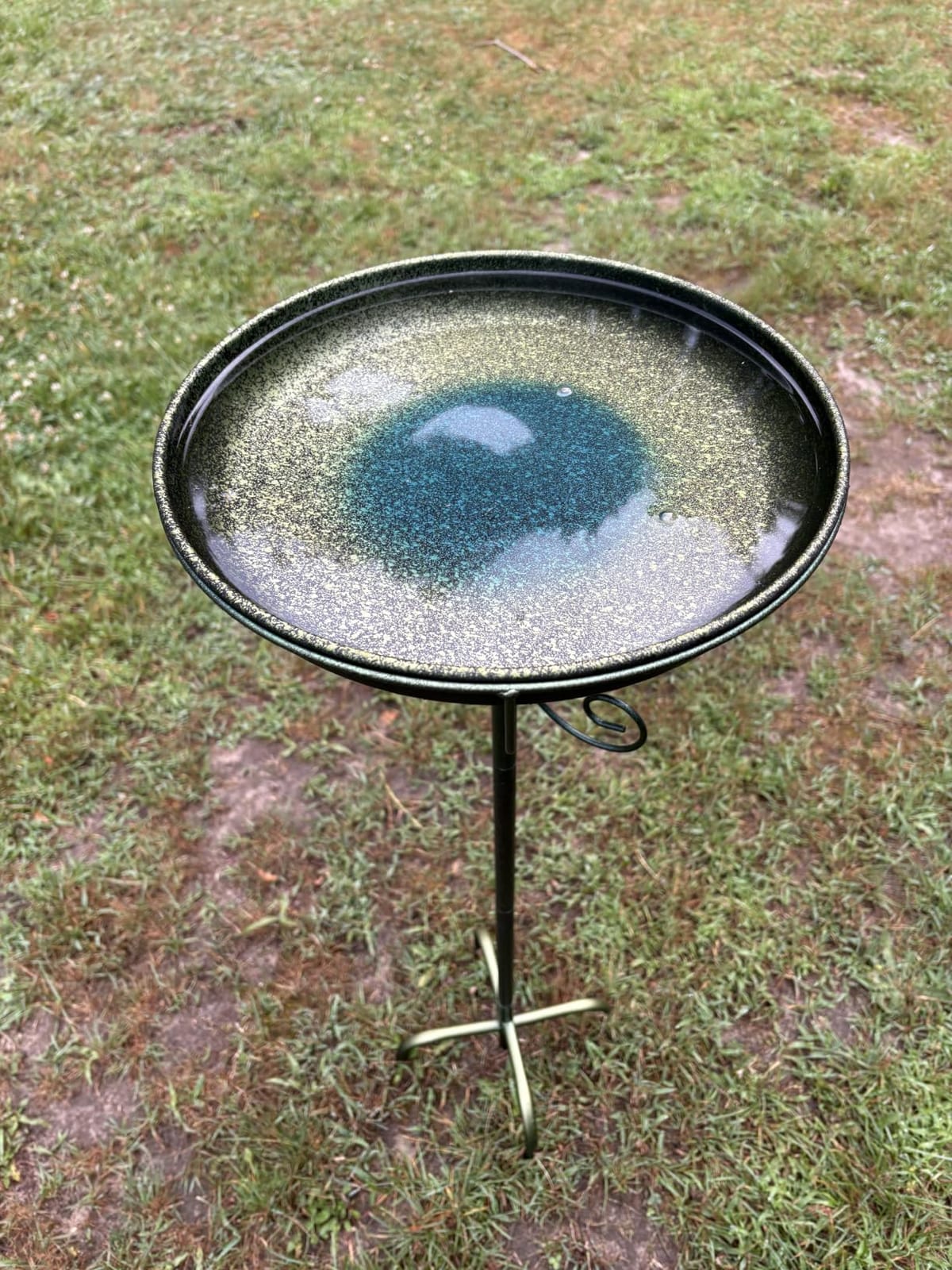 Daoeny 35In Metal Bird Bath for Outside, Vintage Freestanding Birdbaths & Birdfeeder, Bird Baths Feeder Bowl for Outdoors Garden Patio Yard Lawn Decor, Upgraded 5-Pronged Base (Antique Bronze) customer photo 2