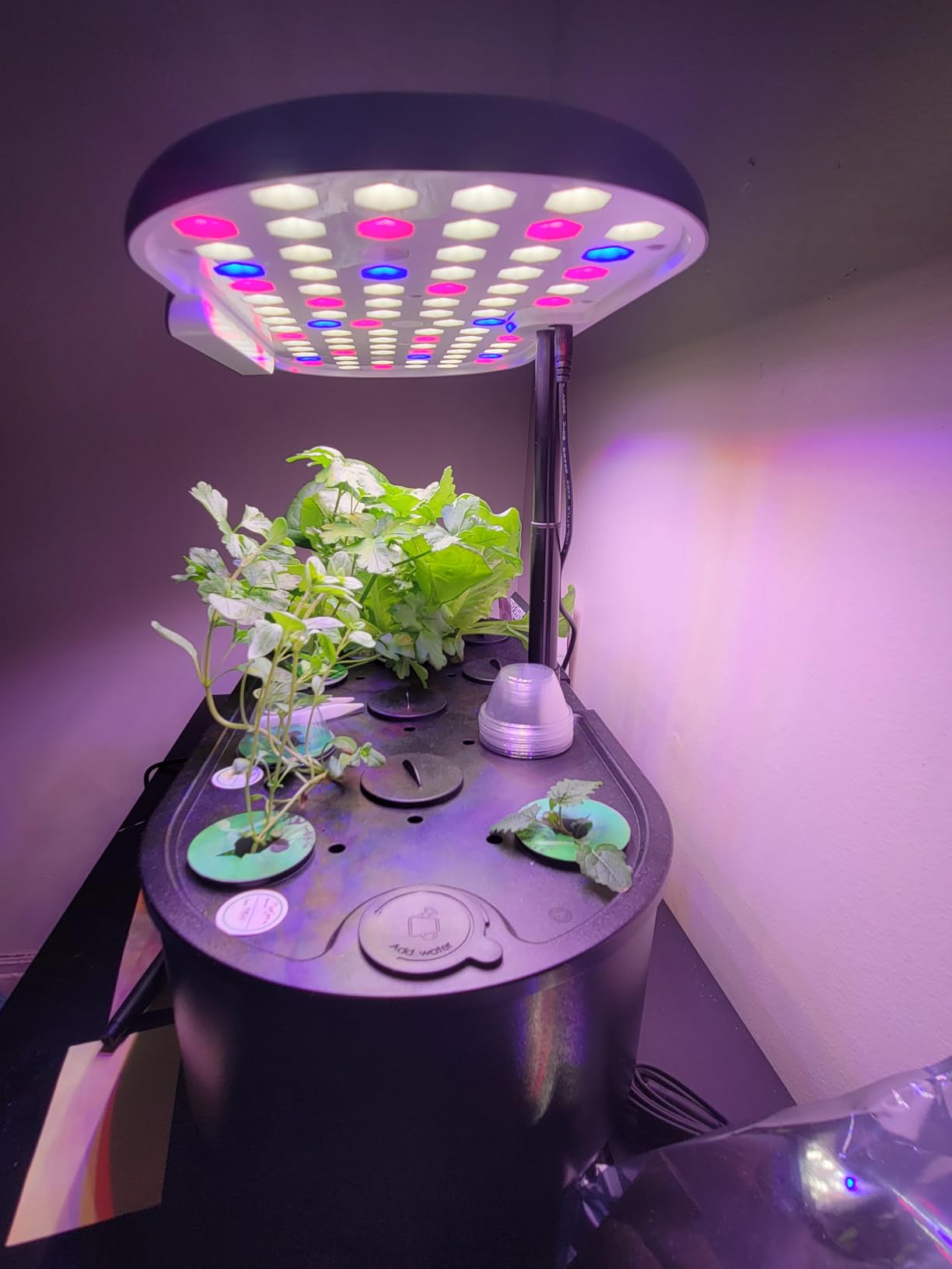 Ahopegarden Hydroponics Growing System Kit: 12 Pods Temp & Humidity Monitor | Indoor Herb Garden with Full Spectrum LED Grow Light for Growing Vegetables, Herbs and Lettuce - Beginner Plant Gardeners customer photo 1