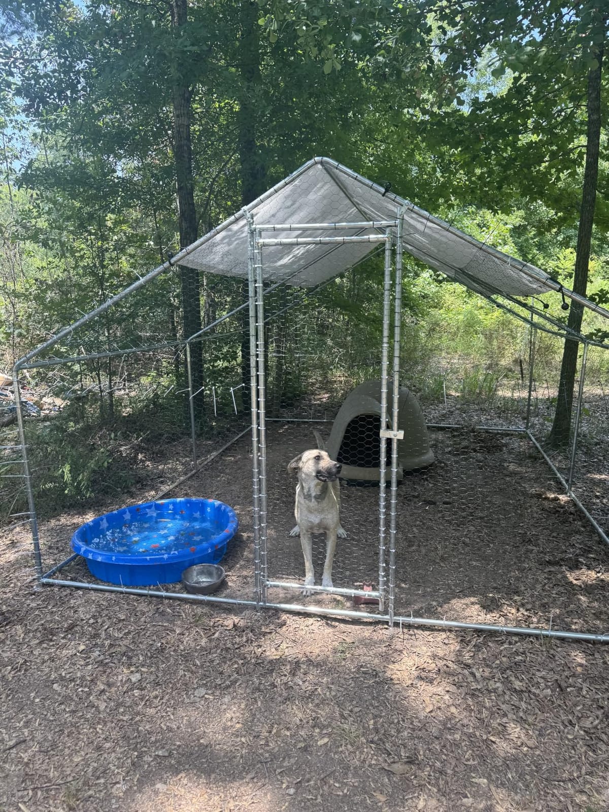 HEYTOWN Large Metal Chicken Coop Chicken Pen with Water-Resident and Anti-UV Cover Walk-in Poultry Cage Chicken Runs for Yard with Cover Duck Rabbit Dog House Outdoor customer photo 2
