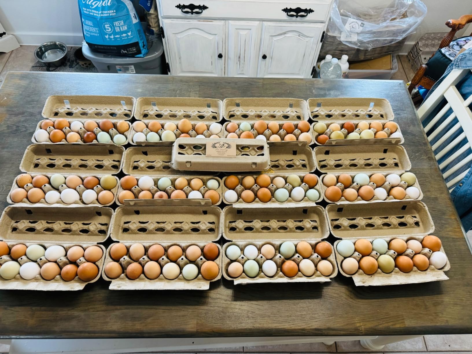 Electric Egg Washing Machine, Egg Washer Machine, Automatic Egg Washer Machine, 2300 Pcs/H Chicken Duck Goose Egg Egg Cleaner Wash Machine, 110V customer photo 1