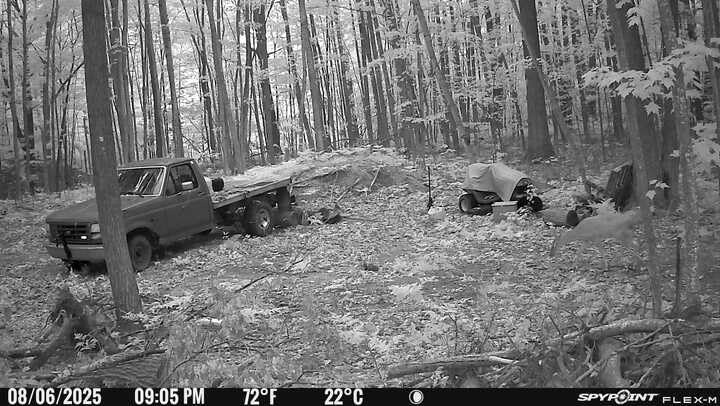 SPYPOINT Flex-M Solar Bundle - Cellular Trail Camera with Solar Panel, Best in Hunting Accessories, No WiFi Needed, GPS, Night Vision, Motion Activated, Dual-Sim LTE, IP65 Water-Resistant Game Camera customer photo 1