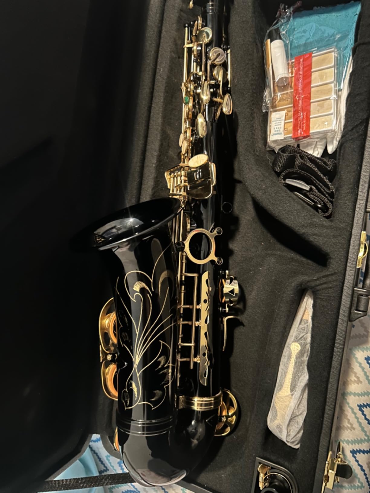 E Flat Alto Saxophone, Brass Sax with Carry Case, Black | Saxophones Include Mouthpiece, Cleaning Brush, Cloth, Strap Accessories, For Beginner Student and Professional customer photo 1