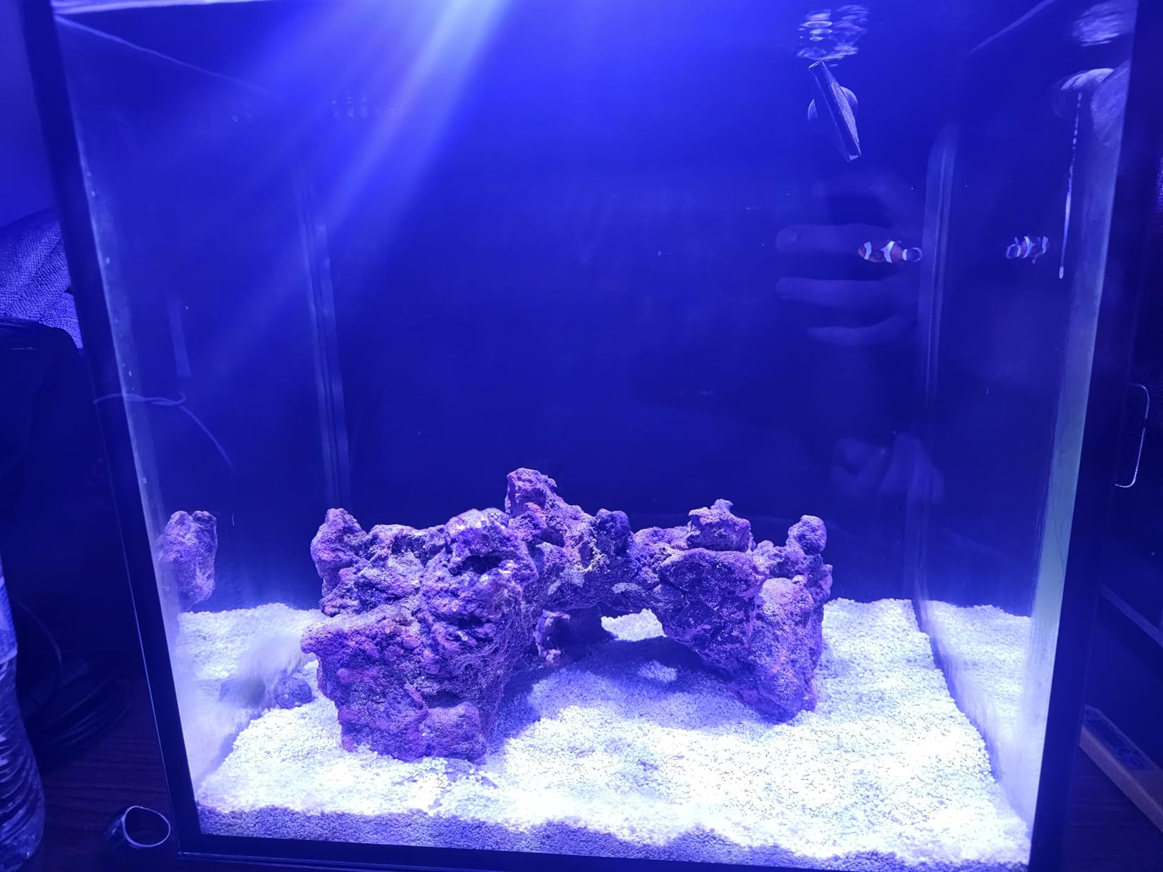Innovative Marine Starter Kit Aquariums (20 Gallon Long) customer photo 1