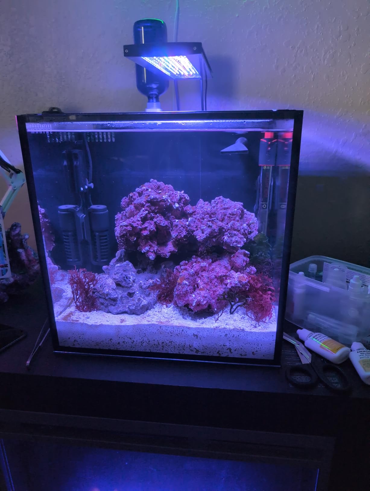 Innovative Marine Starter Kit Aquariums (20 Gallon Long) customer photo 2