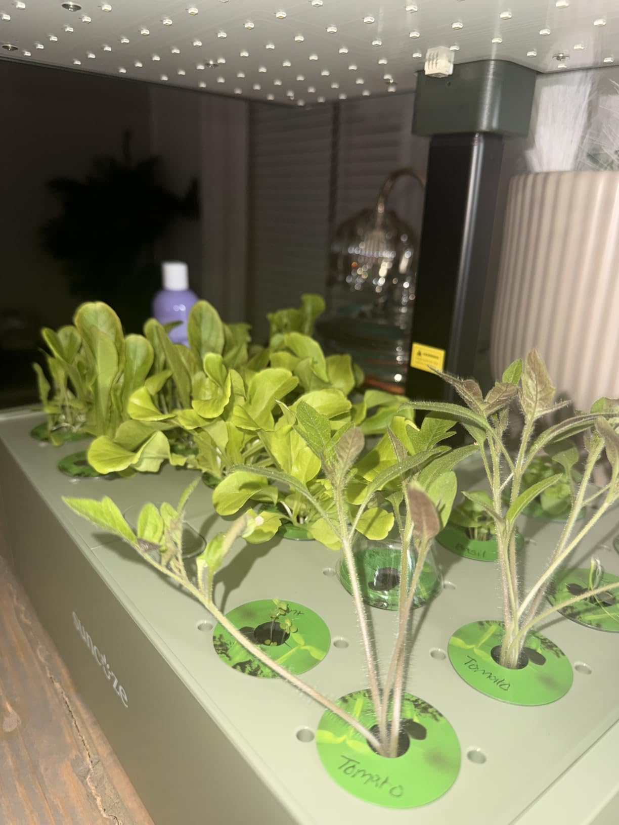 SUNCOZE Smart Hydroponics Growing System, 20 Pods, 25 in Adjustable Height | Indoor Herb Garden with 30W LED Grow Light, 10L Water Tank, Timer & Clock, Plants Germination Kit with Quiet Pump, Black customer photo 1