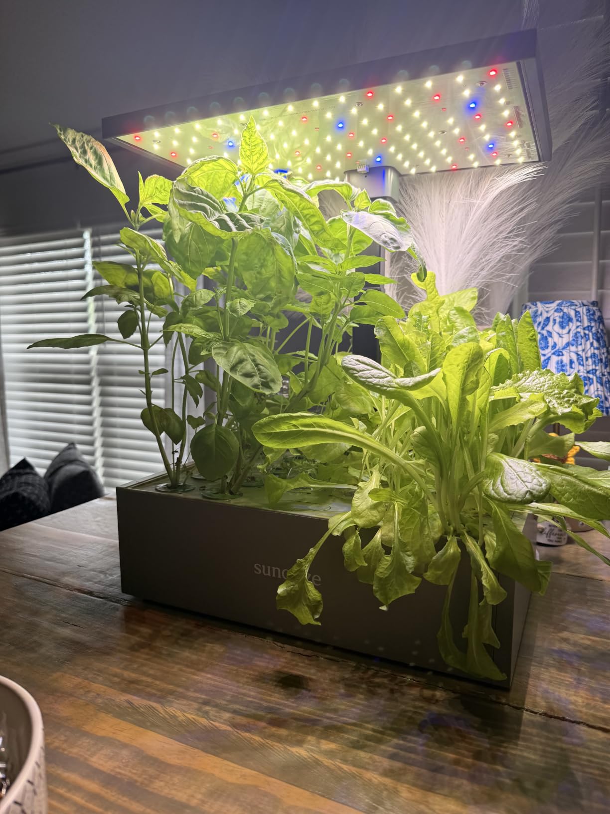 SUNCOZE Smart Hydroponics Growing System, 20 Pods, 25 in Adjustable Height | Indoor Herb Garden with 30W LED Grow Light, 10L Water Tank, Timer & Clock, Plants Germination Kit with Quiet Pump, Black customer photo 2