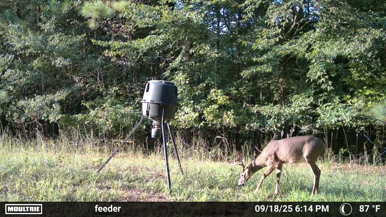Moultrie Edge 2 Cellular Trail Camera - Auto Connect Nationwide 4G LTE - On Demand 36MP Photo - 1080P Video with HD Audio - 100 Ft Detection Range - Low Glow Flash customer photo 2