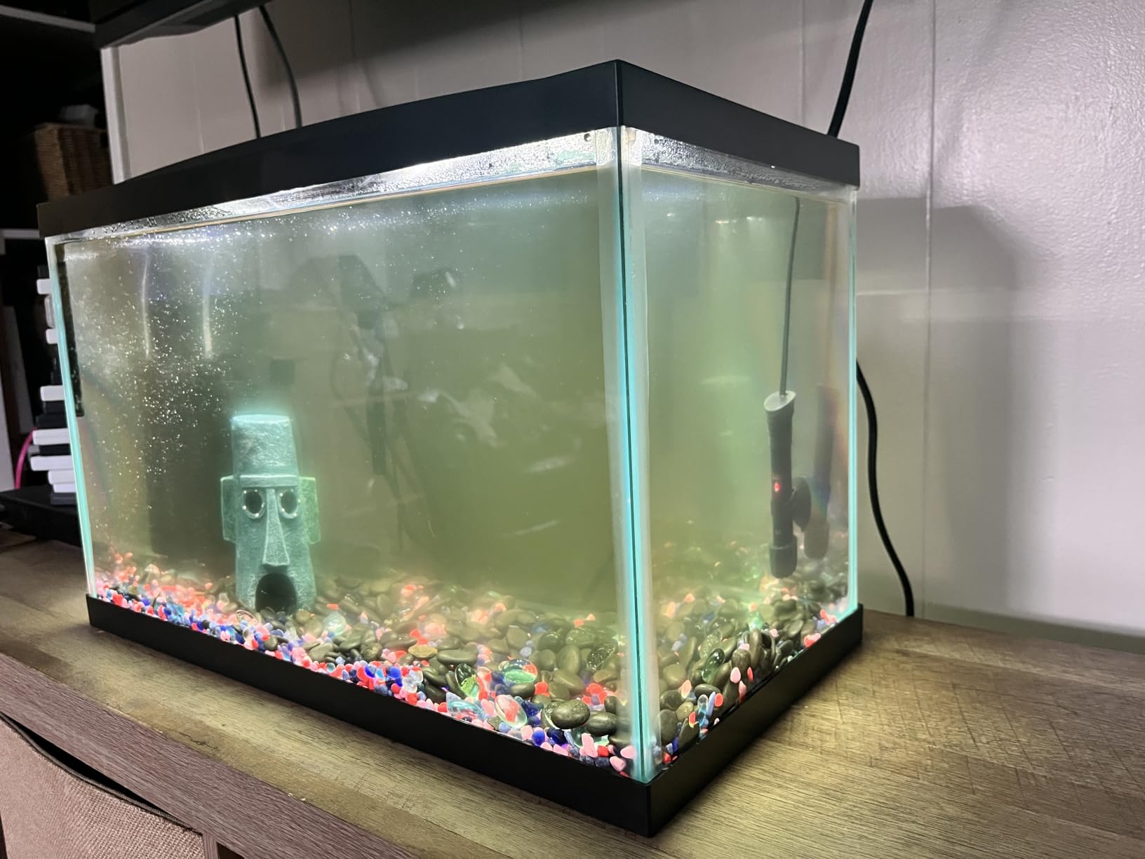 TARARIUM U-V Aquarium Filter for Fish Turtle Tank, 20-75 Gal | Bio Sponge+U-V Internal Filter customer photo 1