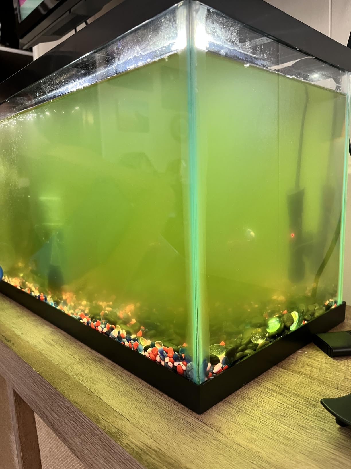 TARARIUM U-V Aquarium Filter for Fish Turtle Tank, 20-75 Gal | Bio Sponge+U-V Internal Filter customer photo 2