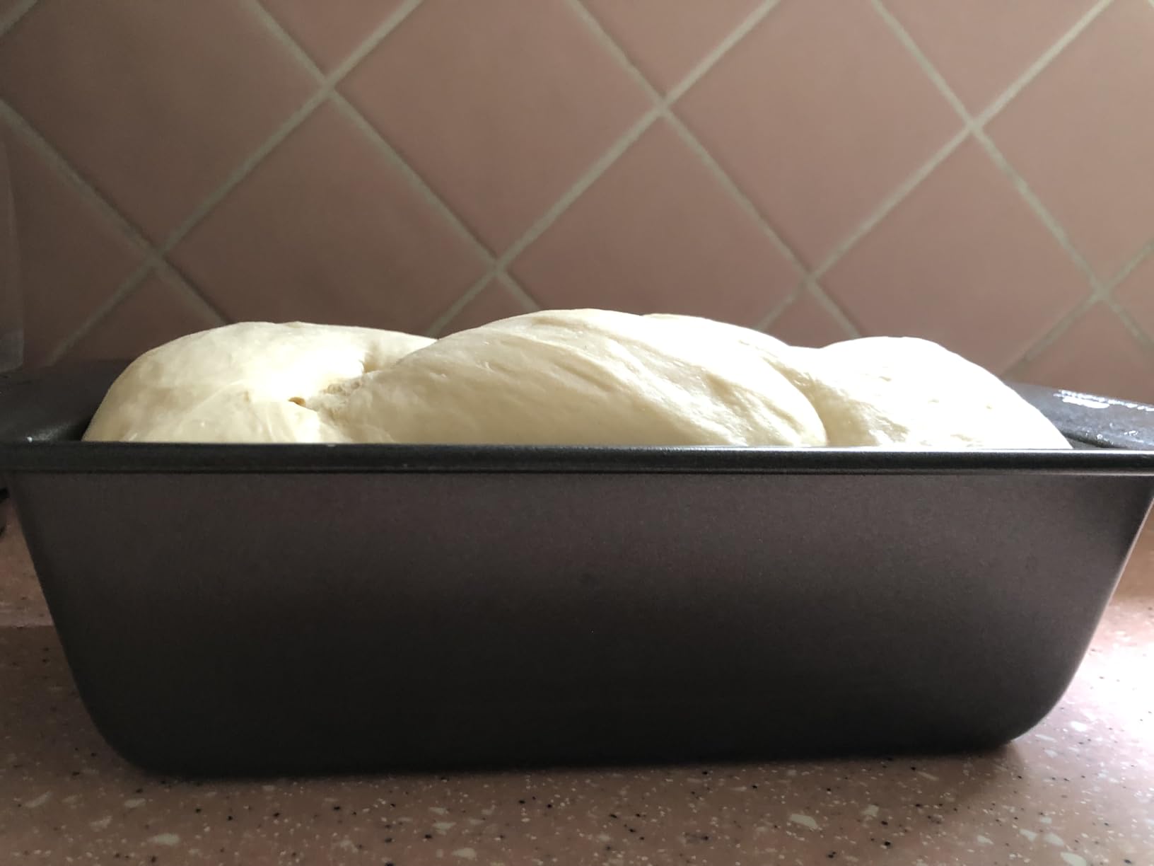 AIZIYO DoughChief, Electric Dough Mixer 7.4Qt with Ferment Function, Dough Maker 304 Stainless Steel Bowl, Microcomputer Control, Face-up Touch Panel, Easy To Clean for Bread & Pizza customer photo 1