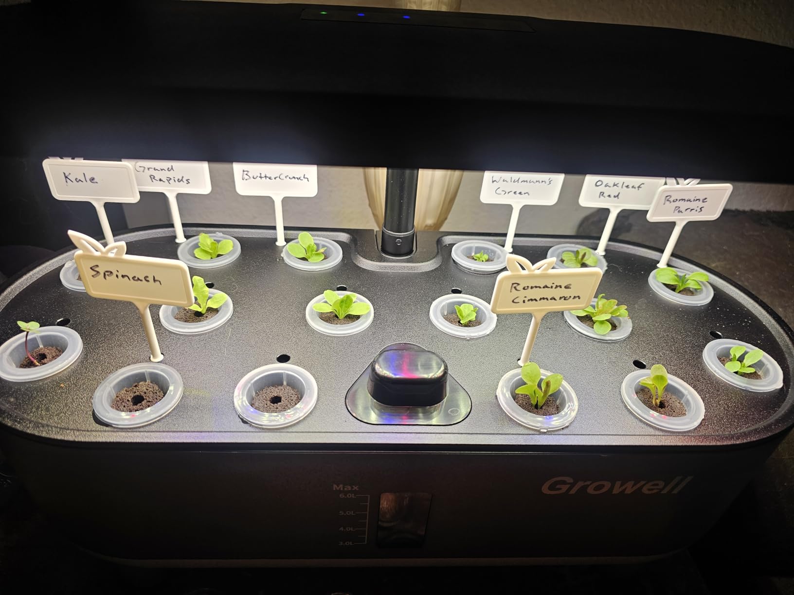 Growell Hydroponics Growing System Kit, 16 Pods Indoor Garden with 28W Full Spectrum LED Grow Light customer photo 1