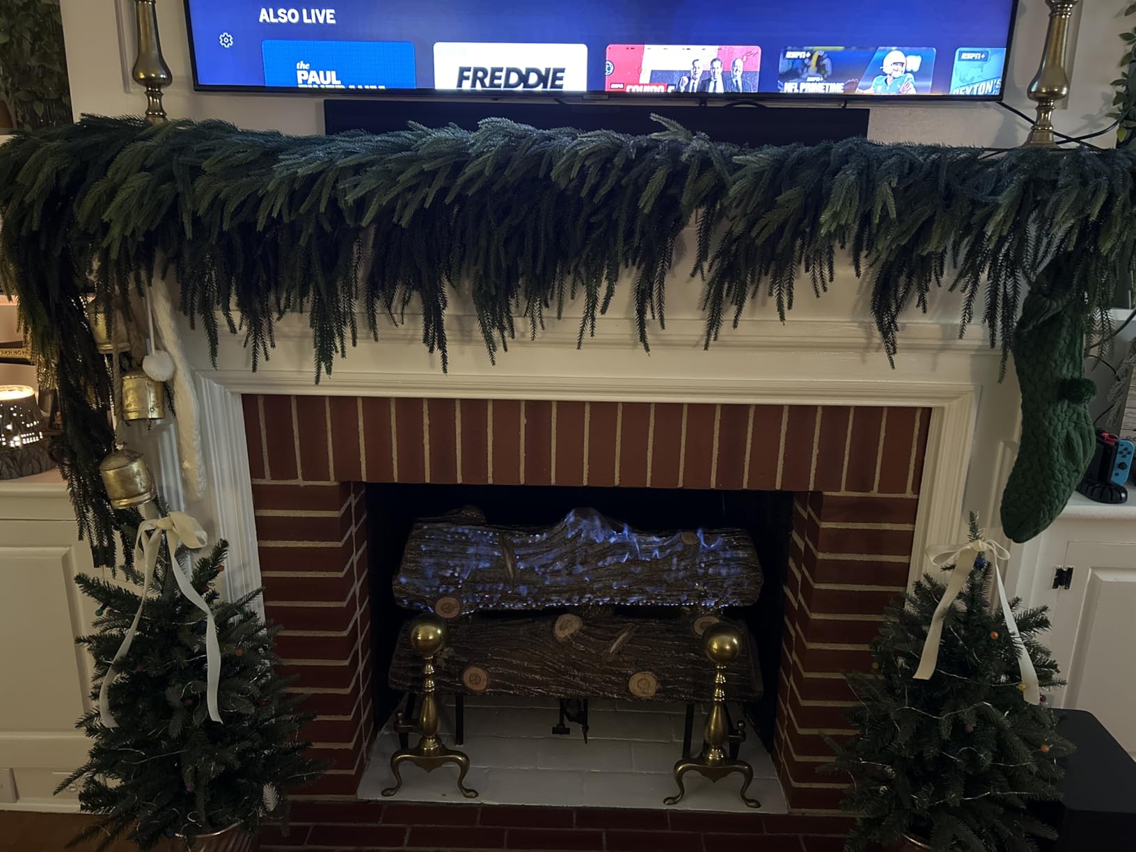 N&T NIETING 9FT Christmas Norfolk Pine Garland Real Touch Pine Artificial Garlands Faux Greenery Garland Winter Christmas Garland for Table Mantle Fireplace Indoor Outdoor Xmas Decorations (1 Pcs) customer photo 2