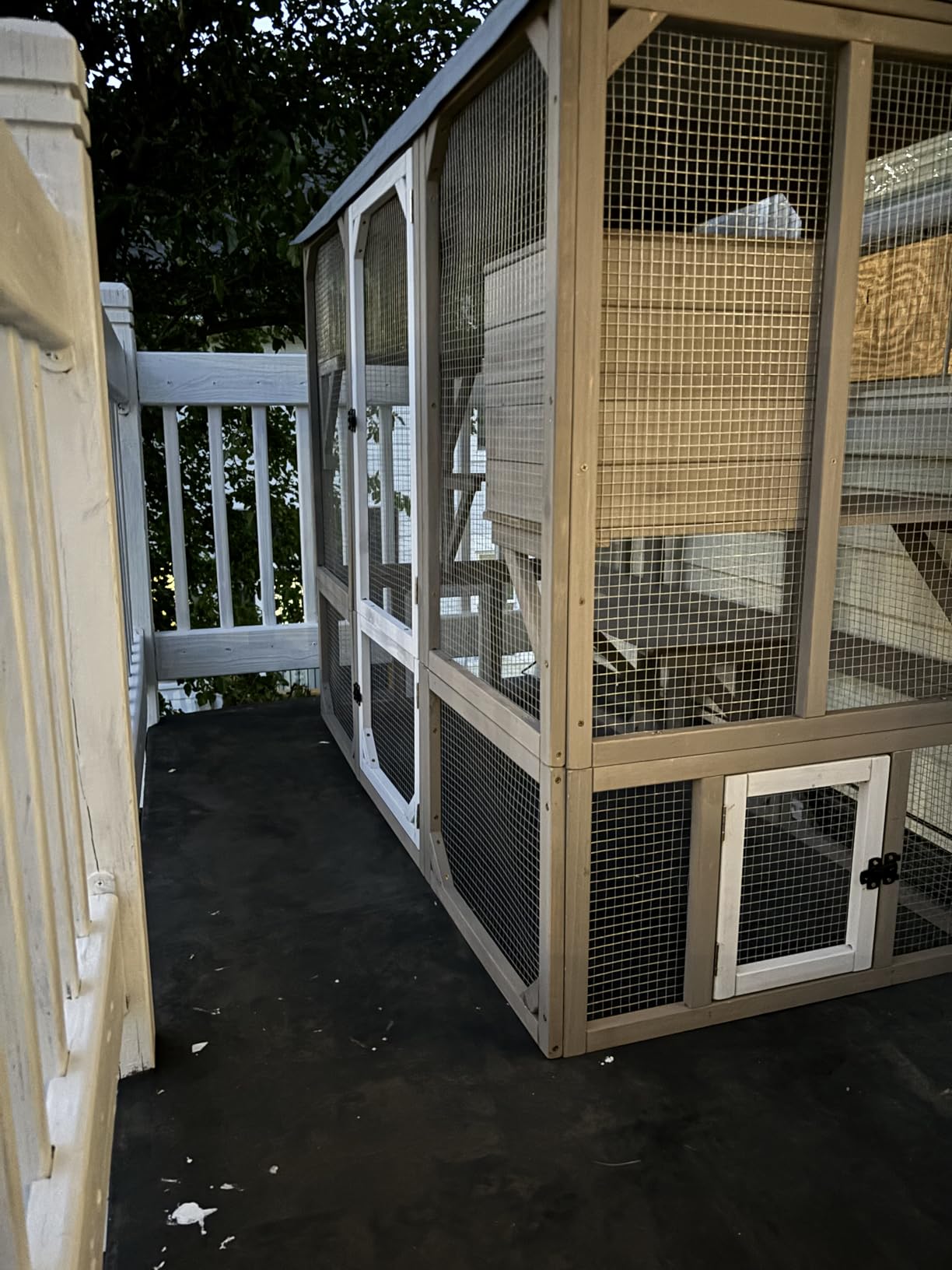 Ketive Catio Outdoor Cat Enclosure with Window Access & Weatherproof Roof, Walk-In Catio, Multi-Level Design, Large Cat Enclosure, Outdoor Cat House, Multiple Cats customer photo 1