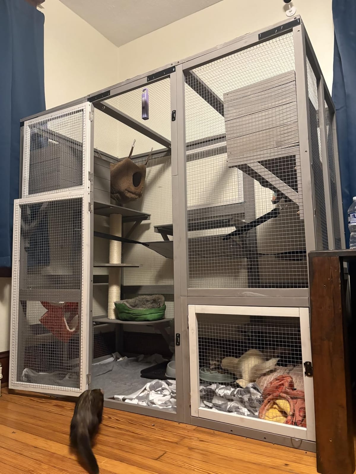 Ketive Catio Outdoor Cat Enclosure with Window Access & Weatherproof Roof, Walk-In Catio, Multi-Level Design, Large Cat Enclosure, Outdoor Cat House, Multiple Cats customer photo 2
