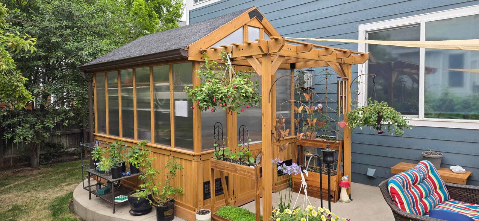 Backyard Discovery Bellerose XL 13' x 11' Cedar Wood and Polycarbonate Walk-in Greenhouse Kit with Pergola, Exhaust Fan, Windows, Hose Hook-Ups, PowerPort, Staging Shelves for Outdoor Gardening customer photo 2