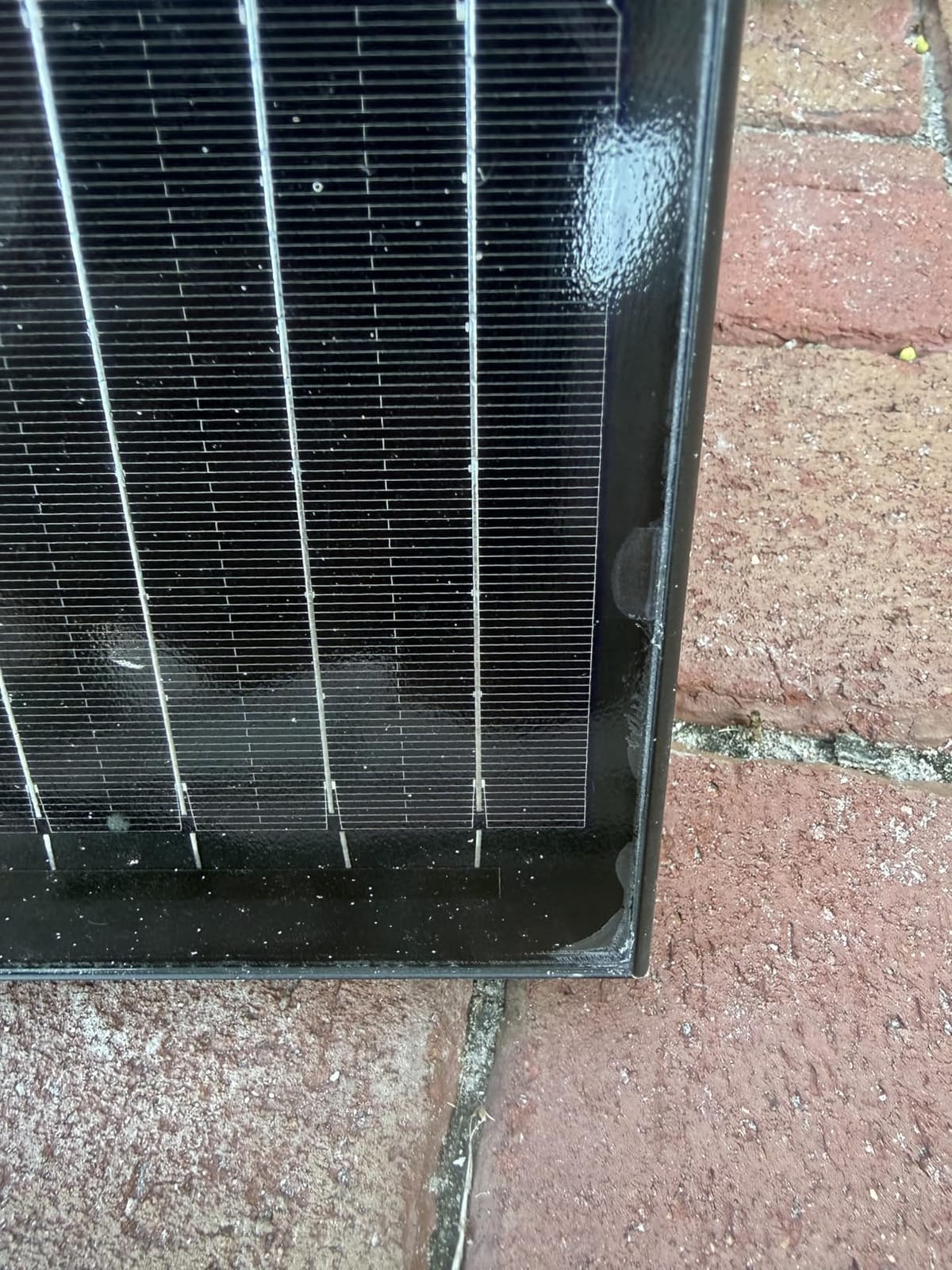STAR 990W Solar Panel, UL61730 N-Type Solar Panels with Frameless Design | 2PCS 495W Solar Panel 25.6% High-Efficiency Monocrystalline 48V/24V, Reliable Power for RV, Marine, Roof customer photo 2