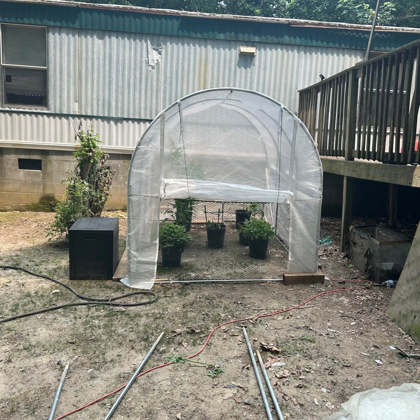 VEVOR Walk-in Tunnel Greenhouse, 9.6x6.4x6.2 ft Hoop House Greenhouse Tunnel, Plant Hot House with Galvanized Steel Frame, White PE Cover, Roll-up Zipper Door and 6 Windows for Outdoor customer photo 2