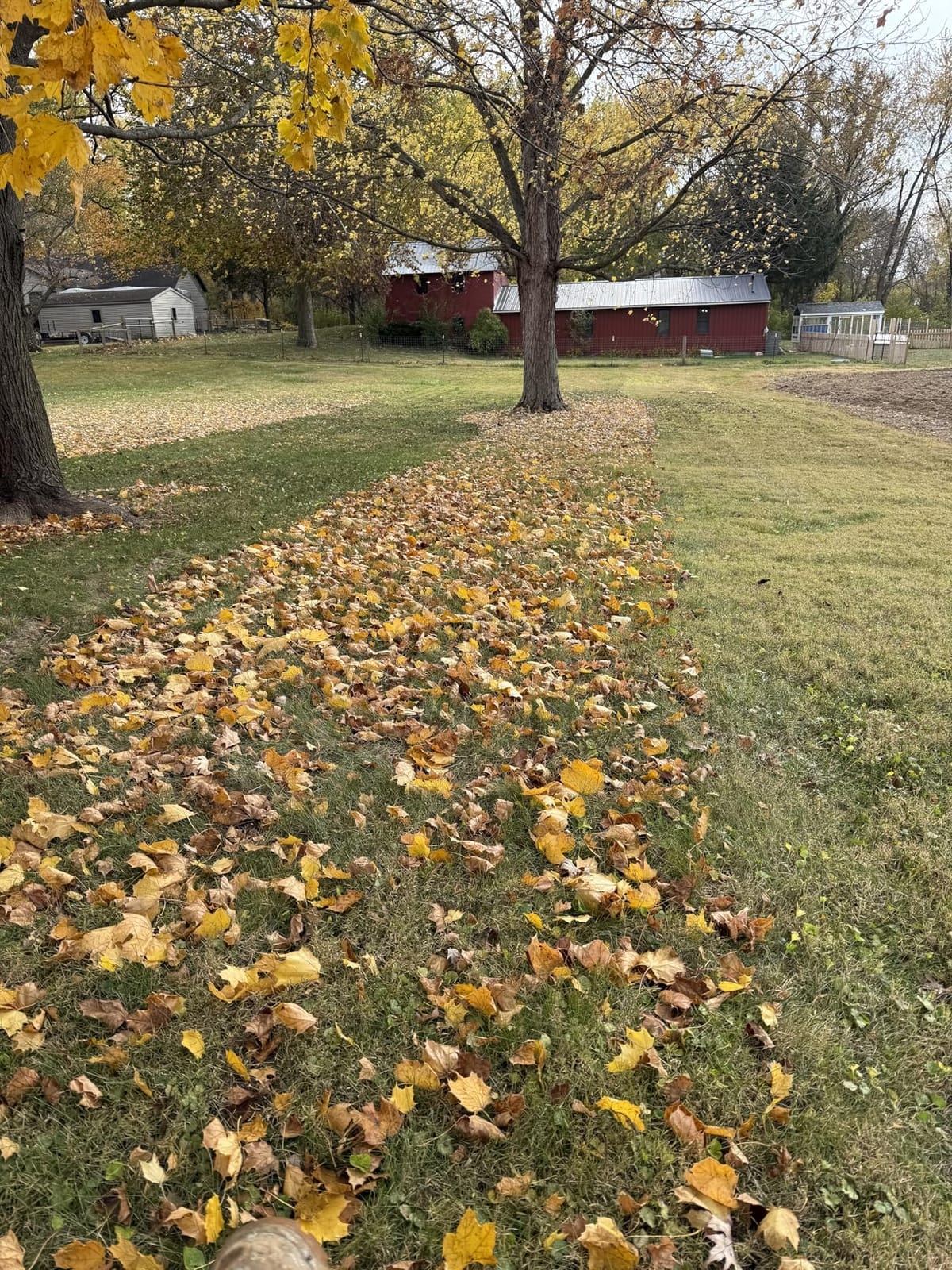 Soft Top Mow-N-Vac Tow Behind Lawn Vacuum, 29 Cu Ft Leaf and Grass Collection System with 208cc Engine customer photo 1