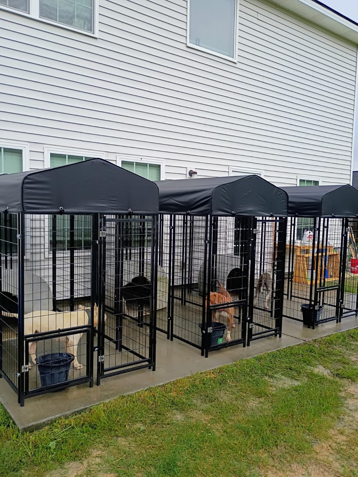 Sino Luban Outdoor Dog Kennel Outside Run with Doggy Door, Swivel Feeder&Roof - 8x4x6FT Large Dog Kennels Pens Outside for Large Dogs Breed- Heavy Duty Cage Yard (Can Connect to Your Dog House) customer photo 1