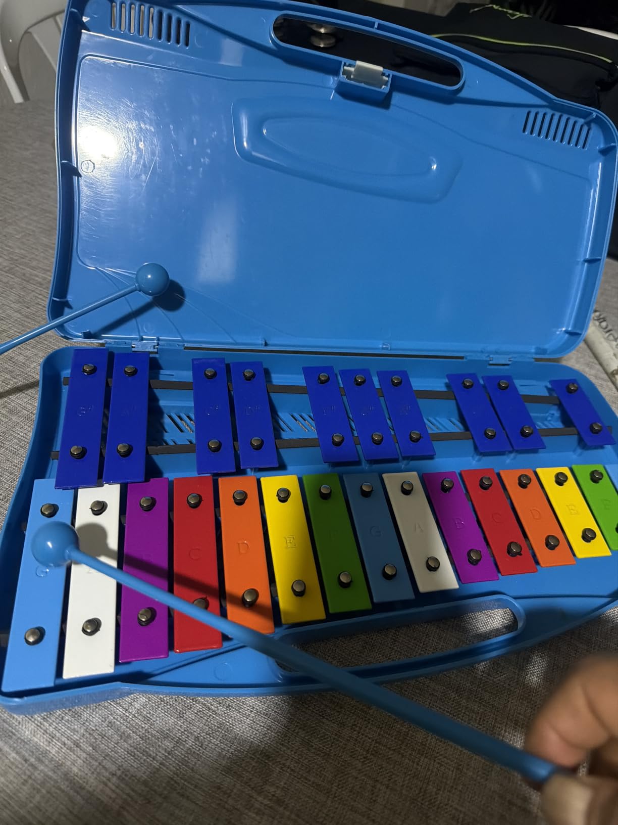 Foraineam Xylophone, 25 Notes Colorful Metal Keys Glockenspiel Xylophone, Percussion Musical Instrument with Carry Case and 2 Safe Mallets for Beginners customer photo 1