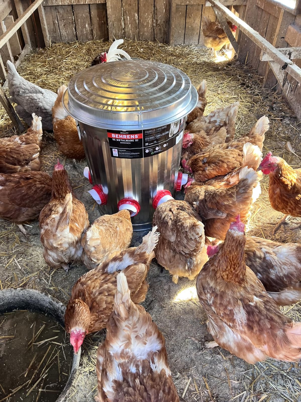 Chicken Feeders No Waste, DIY Automatic Poultry Feeder - 8 Ports Red | Buckets Barrels Bins Troughs‑mountable Design for common Breeds of Chicken Flock with Hole Saw customer photo 2