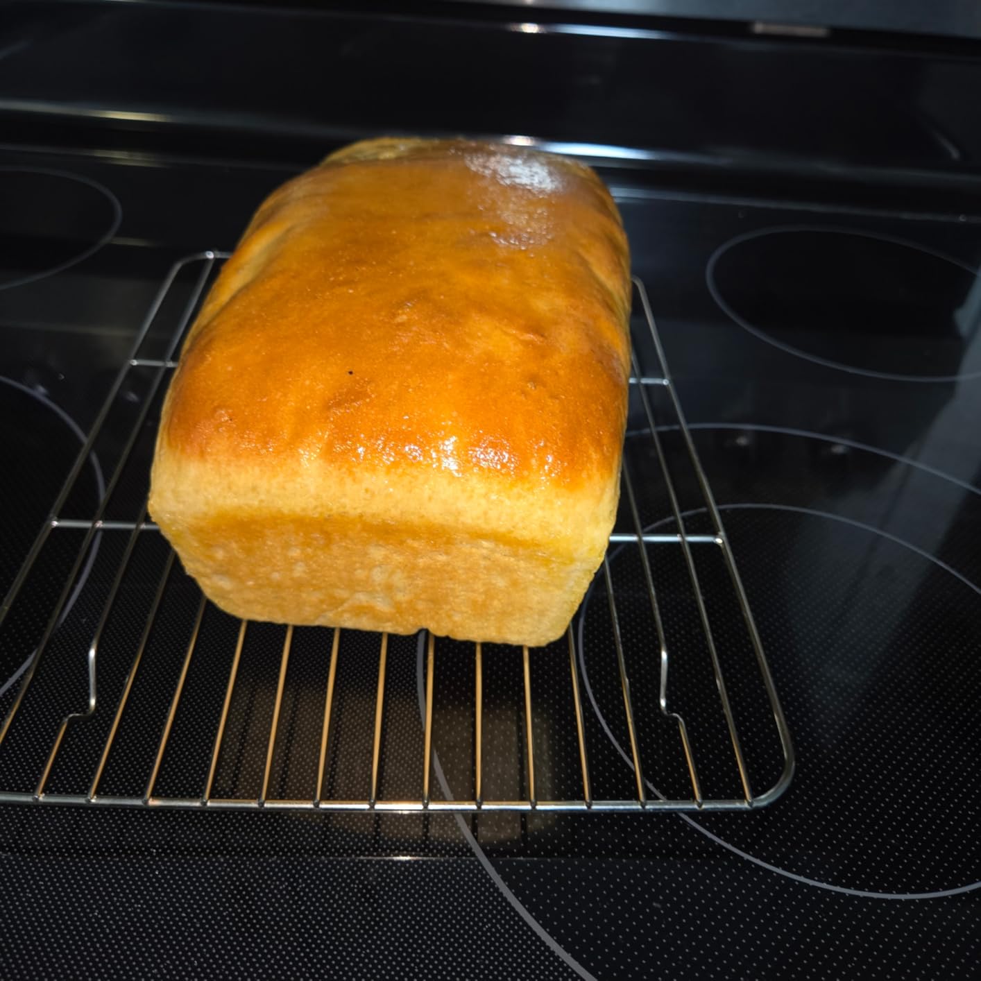 Joydeem 5.3Qt Electric Dough Maker with Seasonal Fermentation, HMJ-A501 customer photo 1