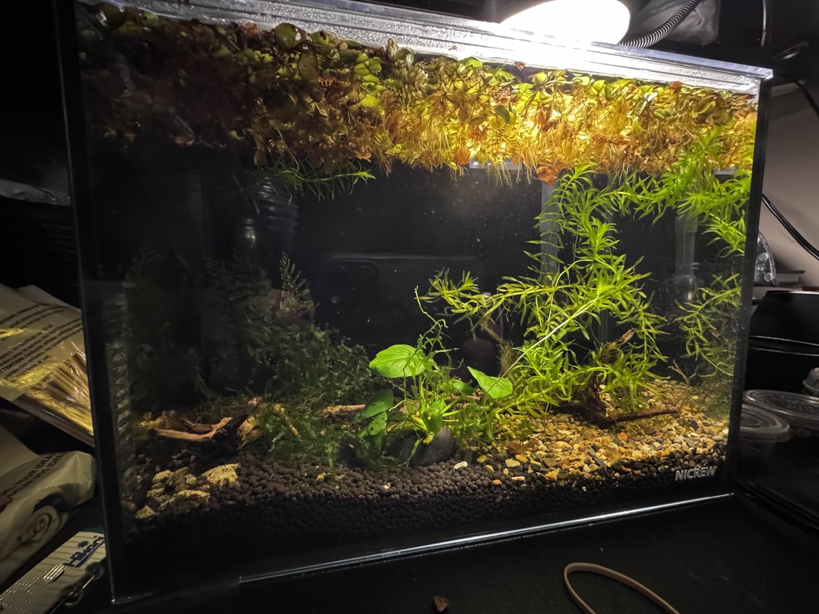 NICREW 2.5 Gallon Nano Nature Aquarium Kit, Ultra-Clear Rimless Desktop Fish Tank with Light, Filter, Gravel and Rock, Perfect for Small Fish, Shrimp, or Betta, Complete Version, Black customer photo 2