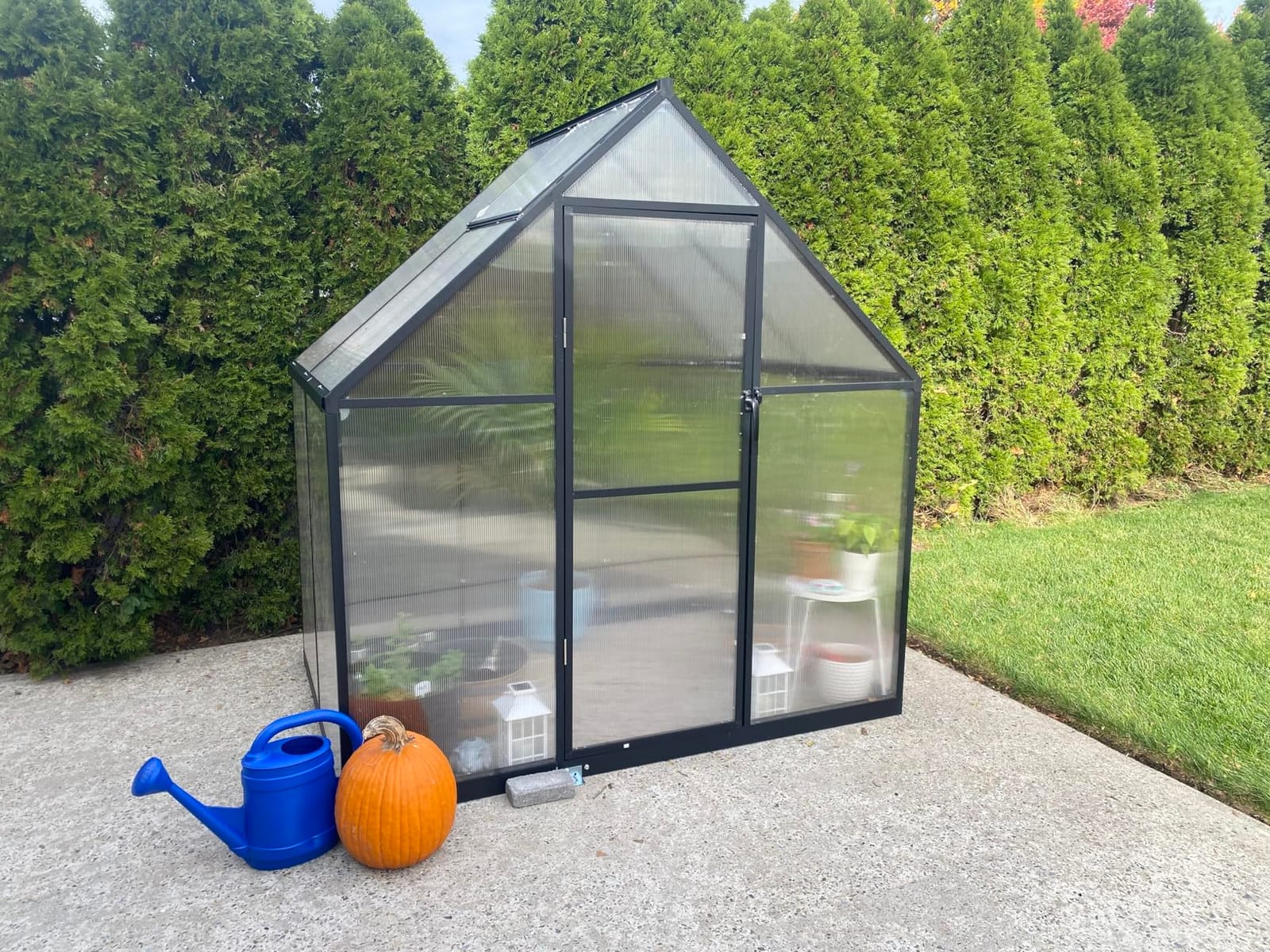 8X10FT Enhanced Aluminum Walk-in Greenhouse for Outdoors with Thermometer | Easy Assembly, UV-Resistant Panel, Rain Gutter, Lockable Hinged Door, Built-in Reinforcement, For Vegetable, Flower and Herb customer photo 1