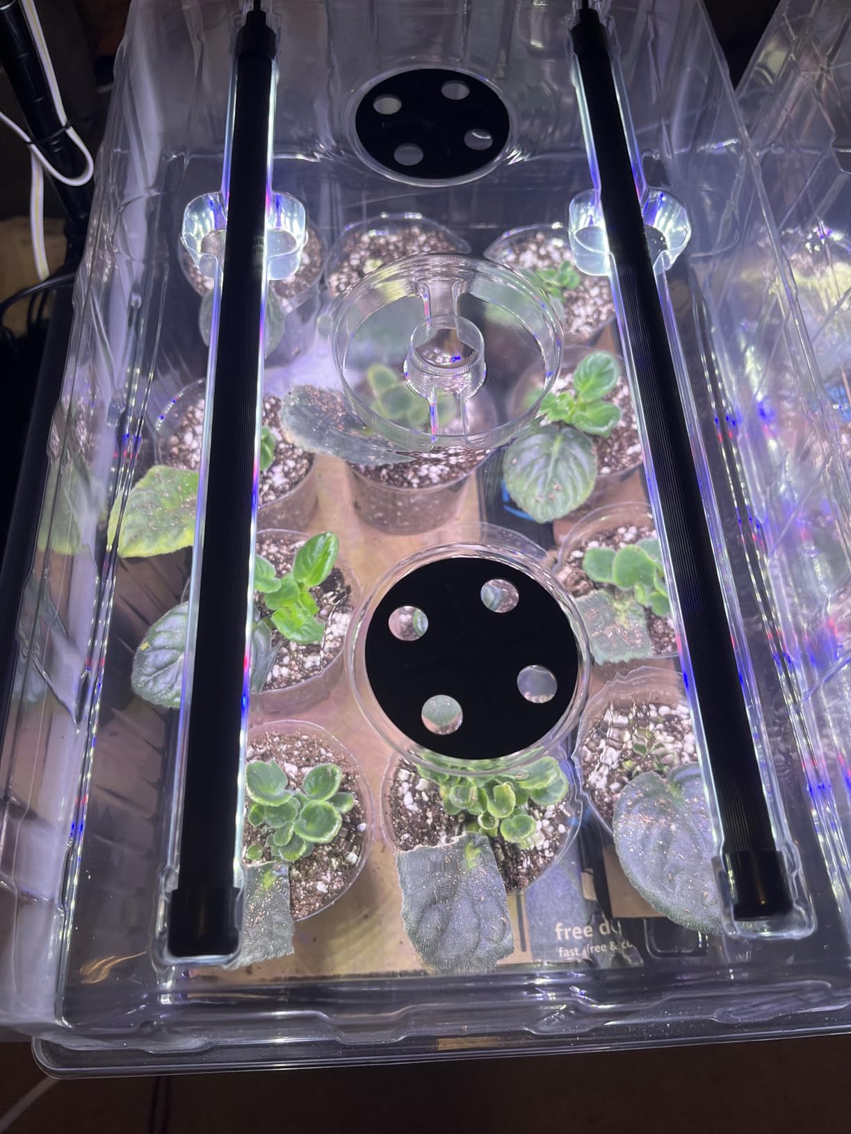 Patigrow 60-Cell Self-Watering Seed Starter Tray with Grow Light, Seed Starter Kit with 4.07