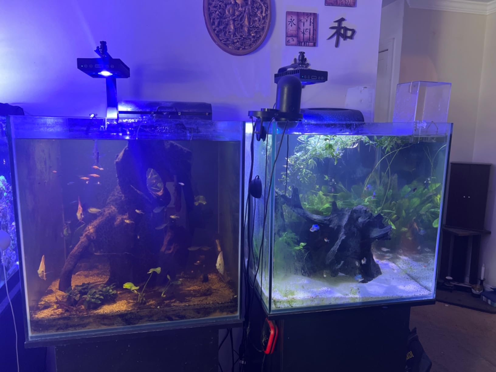 Bulk Reef Supply 4 Stage Value Plus 75 GPD RO/DI Reverse Osmosis Deionization System customer photo 2