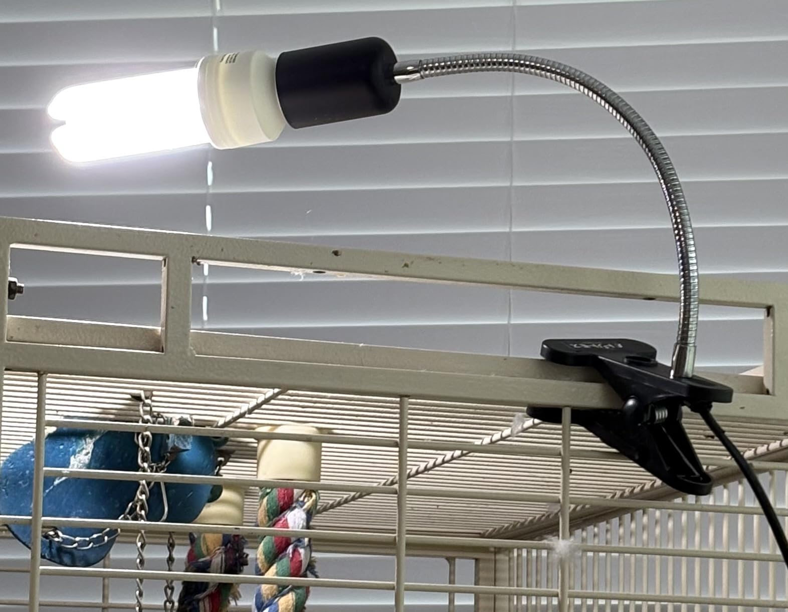 FUNKS TORITOMOSU Bird Cage UVB Light Combo Kit, AvianSun Lamp 2.4% UVB UVA 20W Compact Fluorescent Bulb for All Kinds Captive Birds customer photo 2