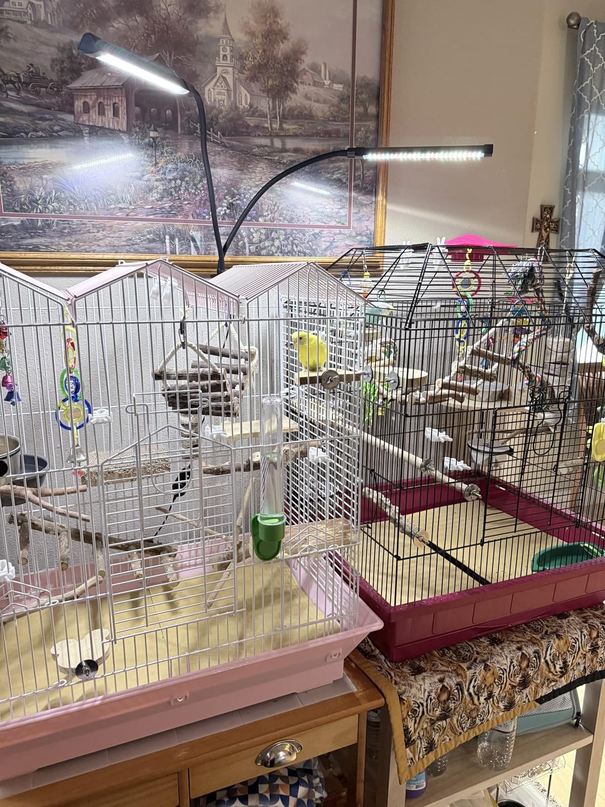 Bird Lighting Bird Cage Light Fixture Combo Kit Full Spectrum LED Pet Light, 15 Brightness Levels, 24 Hours Timer, 100pcs LED Beads, Simulates Natural Environment customer photo 1