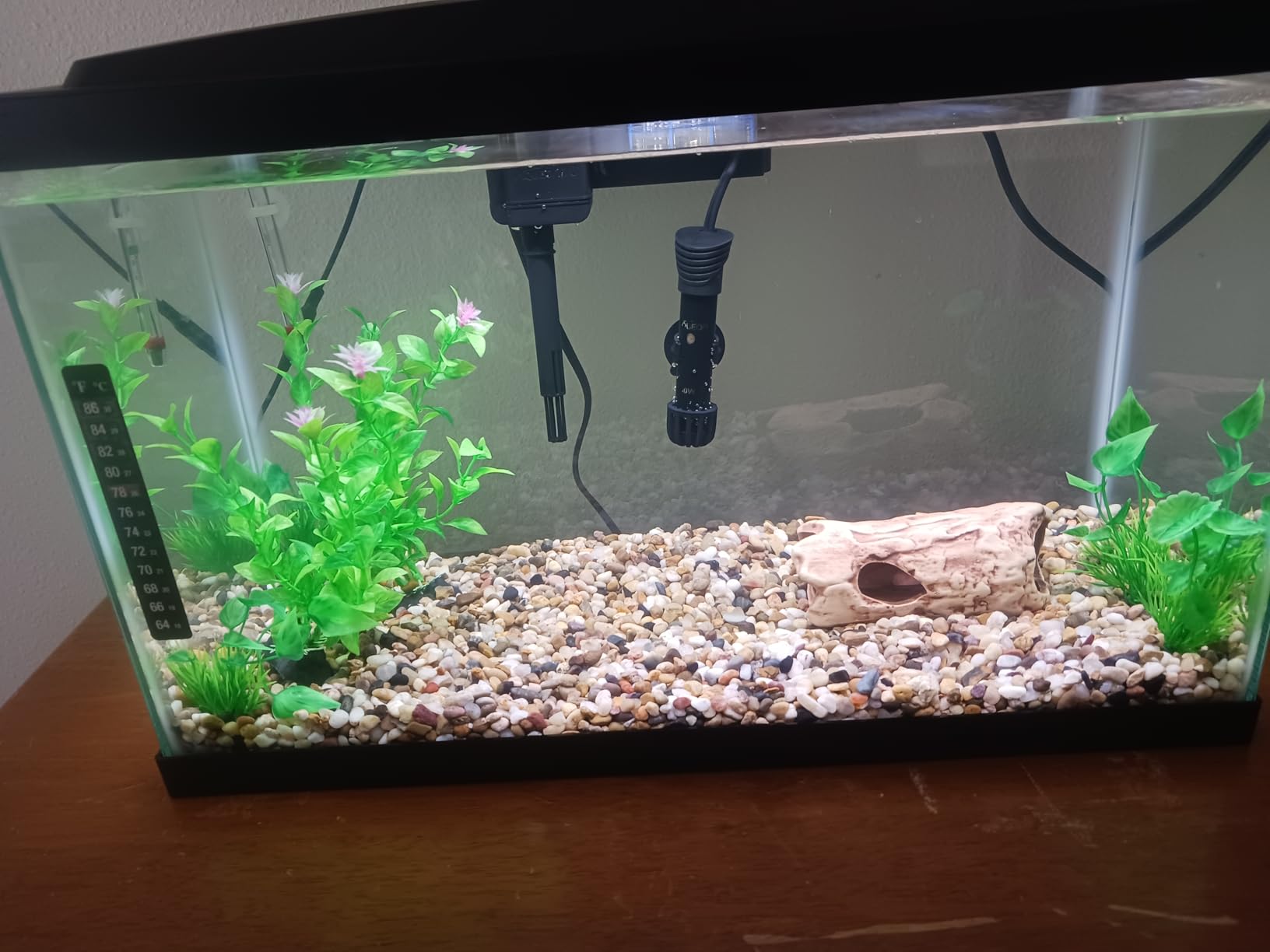 Aqueon Aquarium Starter Kit with Smart Clean Filtration and LED Lighting, Freshwater and Saltwater Fish, Perfect for Tetras, Guppies, Platies, 10-Gallon customer photo 1